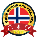 Learn Norwegian icône