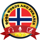 Learn Norwegian ikona