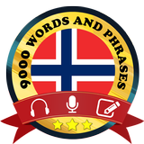 Learn Norwegian ícone