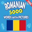 Romanian 5000 Words with Pictures
