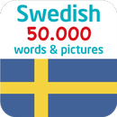 Swedish 50000 Words & Pictures APK