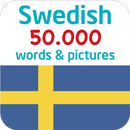 Swedish 90000 words & pictures APK