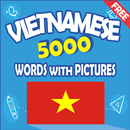 Vietnamese 5000 Words with Pictures aplikacja