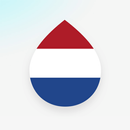 Drops: Learn Dutch APK