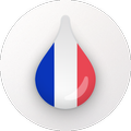 Drops: Learn French language and words for free