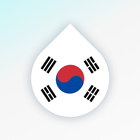 Learn Korean language & Hangul icon