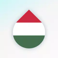 Скачать Drops Learn to Speak Hungarian APK