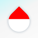 Learn Indonesian language APK