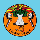 Crow Apsaalooké icono