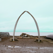 Iñupiat icon