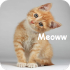 Understanding Cat Language icon