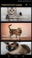 Understanding Cat Language poster