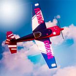 Flight Race Simulator