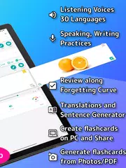 WordHolic | DIY Flash Cards! XAPK download