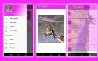 99 Bird's Sounds Ringtones free পোস্টার