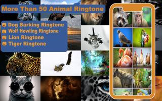 Animal Ringtone & Sounds постер