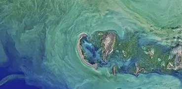 The Caspian sea