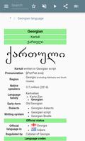 The Georgian language screenshot 1