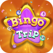 Bingo Trip