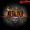 Metallica All songs video album