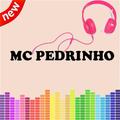 MC Pedrinho e MC Davi