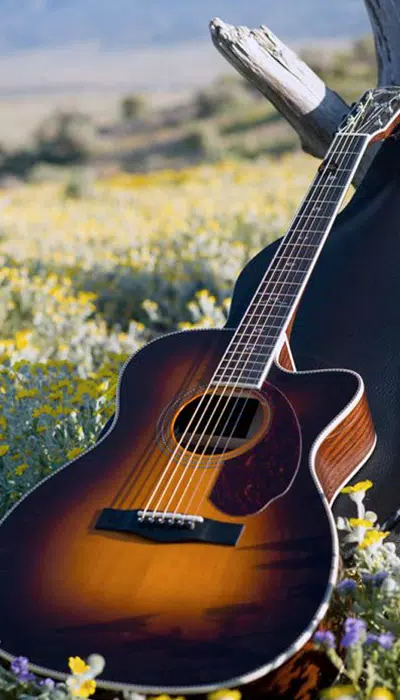 Guitar Wallpaper 4K APK pour Android Télécharger Guitar Wallpaper 4K APK pour Android Télécharger