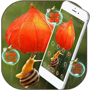 Lantern Fruit Snail Theme APK