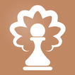 OpeningTree - Chess Openings icon