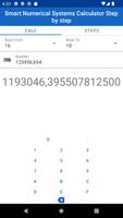 Numerical Systems Calc Steps Cartaz