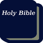 Icona NIV Bible