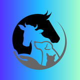 Laser Therapy Tips APK