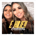 baroas da pisadinha musica