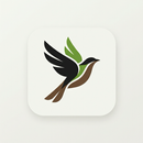 Lark Jet Pea Dirt APK