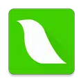Lark