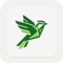 Lark Pod Join Xbox APK