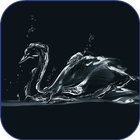 Black Swan HD Live Wallpaper icône