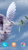 Taube 3D-live-Wallpaper Screenshot 1