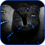 Les serpents HD live Wallpaper icône
