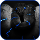 Snakes HD live Wallpaper ikona
