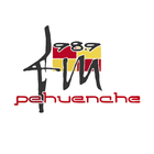 FM Pehuenche 98.9 icône