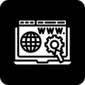 DomainInsight