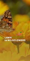 Lawn to Wildflowers ポスター
