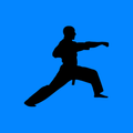 Wushu Learning App