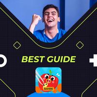 Guide for Fruit Clinic Ultimate Game تصوير الشاشة 2