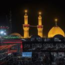 لطميات حسينية 2024 دون نت APK
