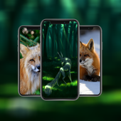 Fox hd Wallpapers icon