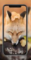 Fox hd Wallpapers Screenshot 1