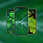 Green Leaf fondos de pantalla hd icono
