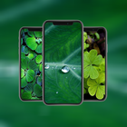 Green Leaf hd Wallpapers ไอคอน