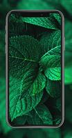 Green Leaf HD Wallpaper Screenshot 2